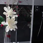 Elvira V Soukromem * 库特纳霍拉