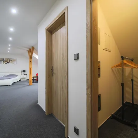 Elvira V Soukromem Apartament