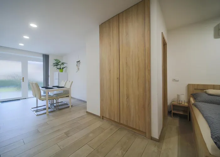 Elvira V Soukromem Apartment Kutná Hora