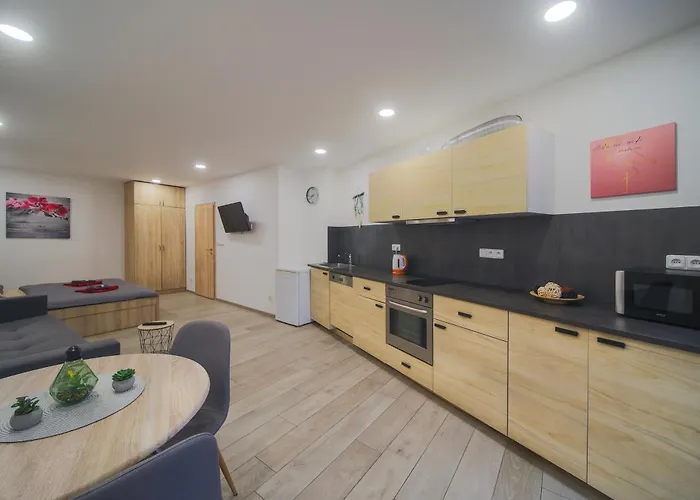 Elvira V Soukromem Apartment